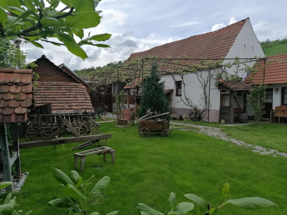 Rucar  Casa Traditionala Transilvaneana מראה חיצוני תמונה